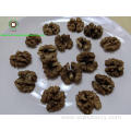 Walnut Kernels Amber Halves(AH)from Yunnan